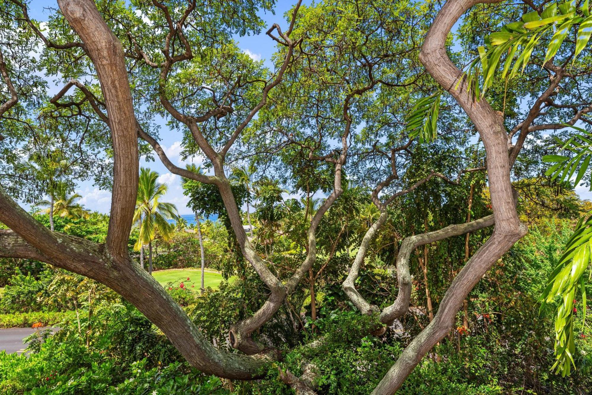 "Makani Moana" At Keauhou Resort #104, Entire Townhome Close To Kona Kailua-Kona Exteriör bild